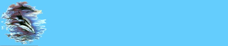 dolphin.jpg (10932 bytes)