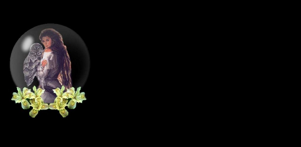 indaanse.jpg (29141 bytes)