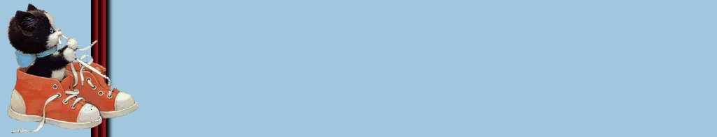 kitten.jpg (13166 bytes)