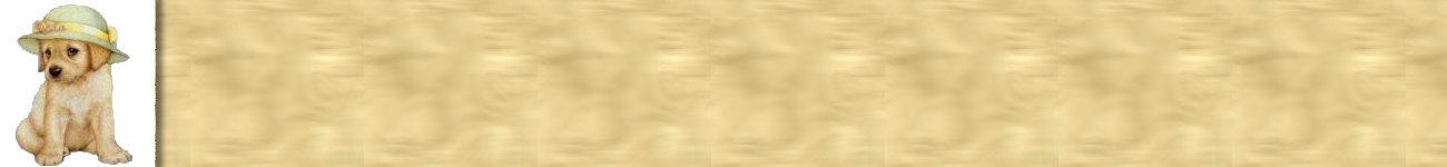 puppy.jpg (19081 bytes)