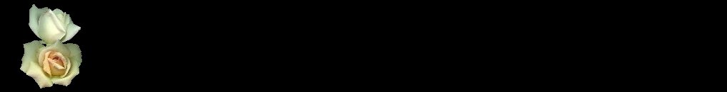 whiteroos.jpg (6509 bytes)