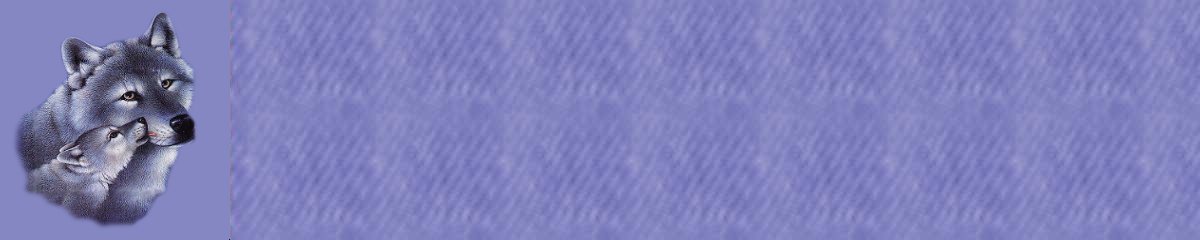 wolf.jpg (31281 bytes)