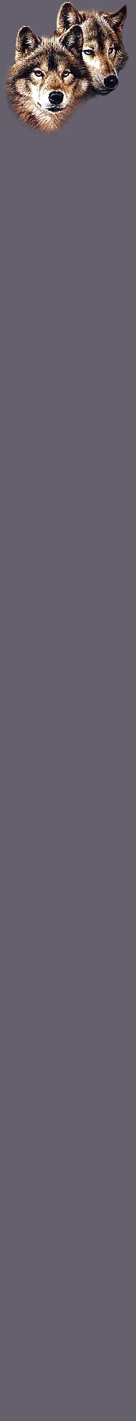 wolf2.jpg (20151 bytes)