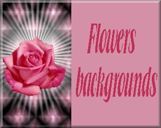 flower.jpg (19149 bytes)