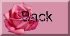 buttonback.jpg (3343 bytes)